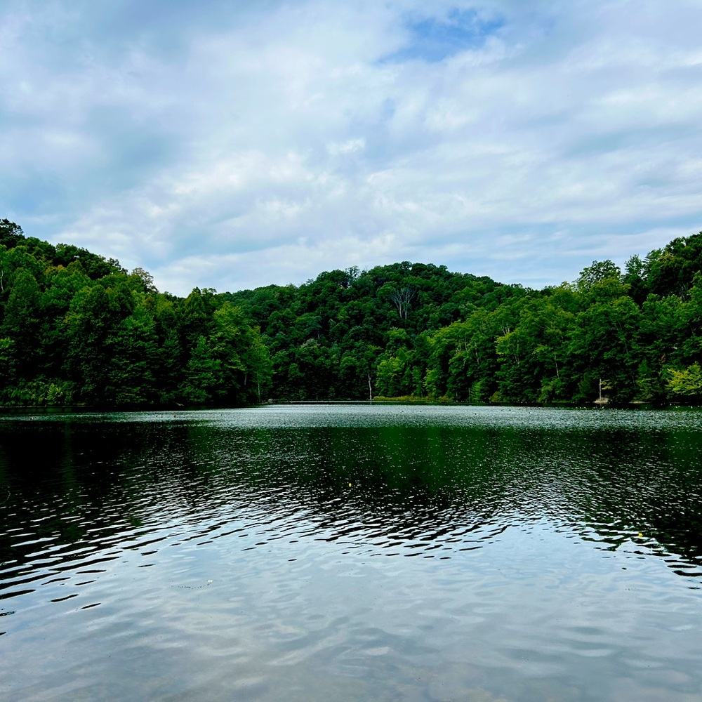 Meet your Posher, Roxann Barbara